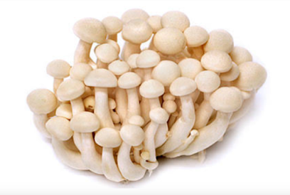 Agen Jamur Import - BNJ Mushroom #Enoki #Shitake #hioko #hyoko #Shimeji #Burdock #Gobo #King Oyster