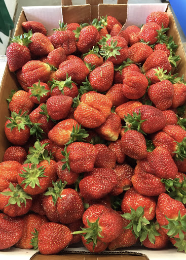 Produce Market «Mt Olympus Berry Farm», reviews and photos, 23298 Jefferson Davis Hwy, Ruther Glen, VA 22546, USA