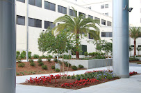 Conrad Design & Landscape - Photo 5 - Car repair in Tallahassee, FL, Tallahassee