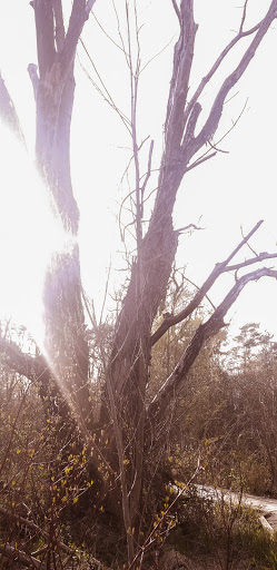 Nature Preserve «DeGraaf Nature Center», reviews and photos, 600 Graafschap Rd, Holland, MI 49423, USA