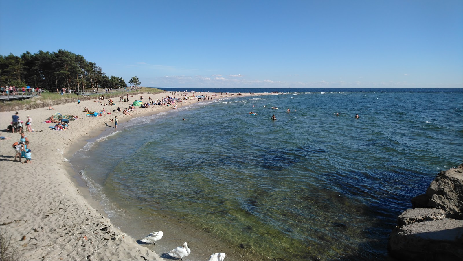 Fotografija Ceple Helski beach z svetel fin pesek površino