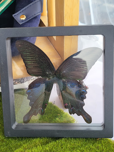 Event Venue «Yellow Cab Tavern», reviews and photos, 700 E 4th St, Dayton, OH 45402, USA