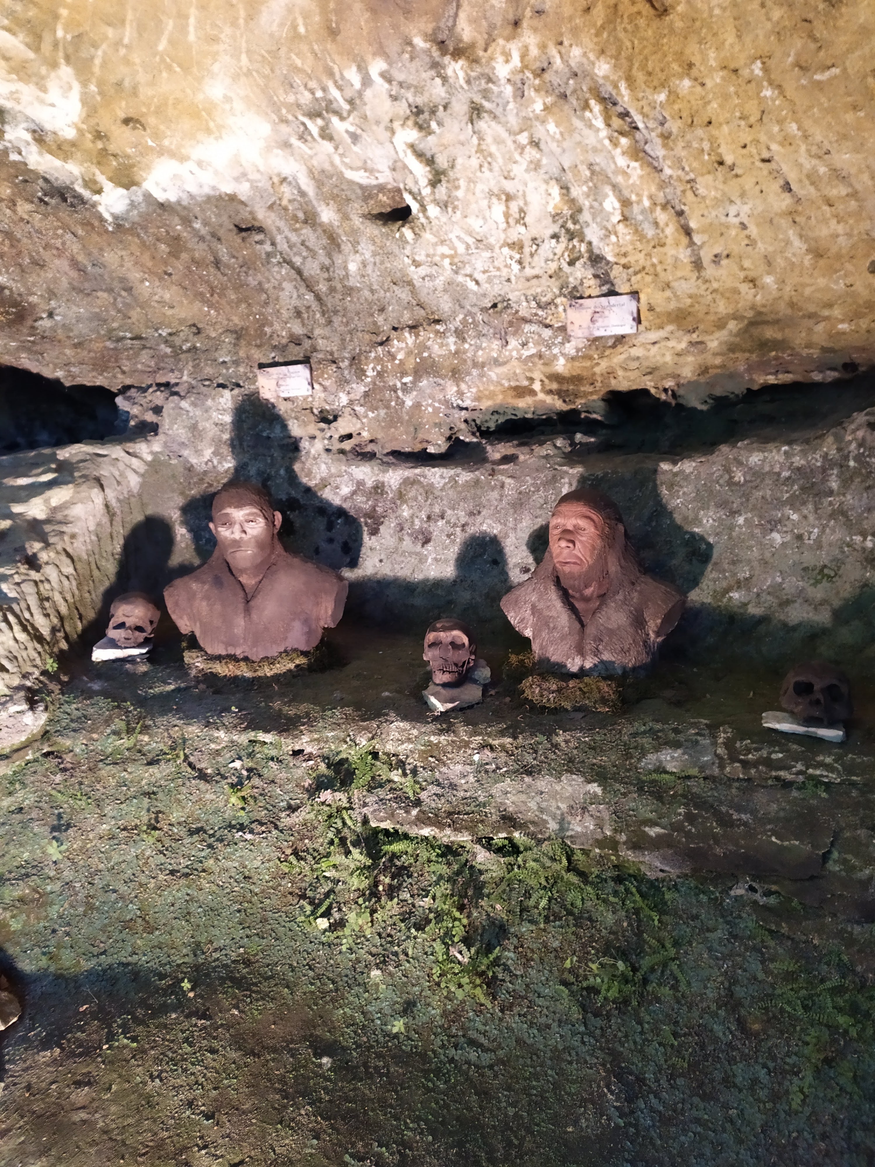 Photo n° 5 de l'avis de Hélodie. fait le 26/08/2020 à 06:25