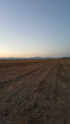 Photos des visiteurs Vacances à la ferme Il Sole & la Luna 58100 Grosseto