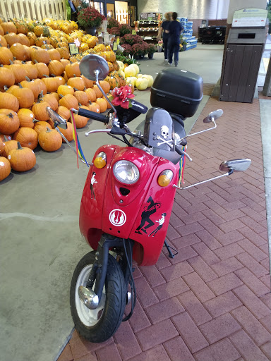 Grocery Store «Albertsons», reviews and photos, 298 Live Oak Ave, Arcadia, CA 91006, USA