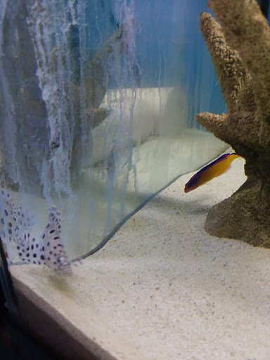 Shopping Mall «Airport Mall», reviews and photos, 1129 Union St, Bangor, ME 04401, USA