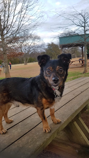 Dog Park «Murfreesboro Bark Park», reviews and photos, 1540 W College St, Murfreesboro, TN 37130, USA