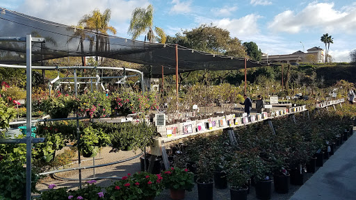 Walter Andersen's Nursery