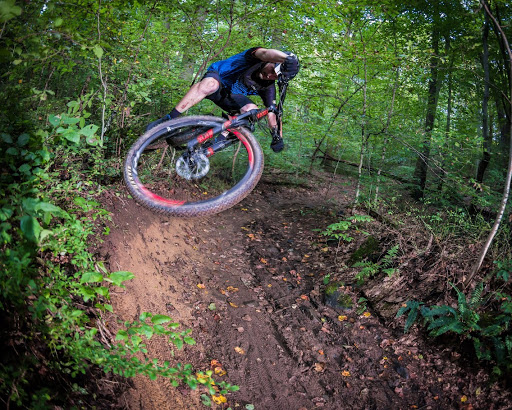 Bicycle Store «Brandywine Bikes», reviews and photos, 1812 Marsh Rd, Wilmington, DE 19810, USA