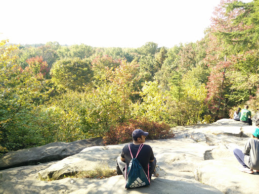 Vista Point «Ledges Overlook», reviews and photos, 405 Truxell Rd, Peninsula, OH 44264, USA