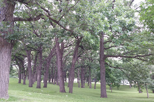 Newell Park