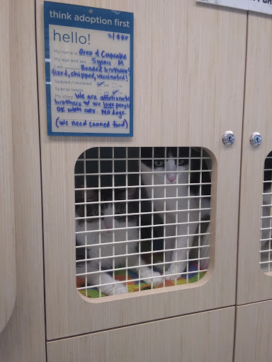 Pet Supply Store «Petco Animal Supplies», reviews and photos, 85 State St, Orem, UT 84058, USA