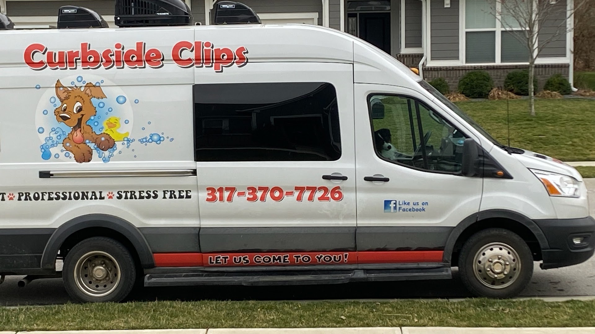 Curbside Clips Mobile Grooming & Boarding at The Dog Lounge