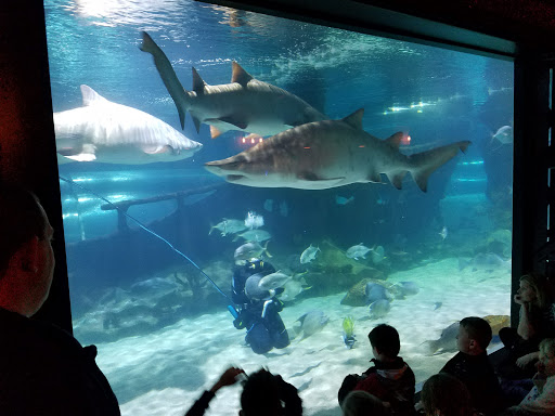 Aquarium «Greater Cleveland Aquarium», reviews and photos, 2000 Sycamore St, Cleveland, OH 44113, USA