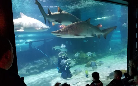 Greater Cleveland Aquarium image