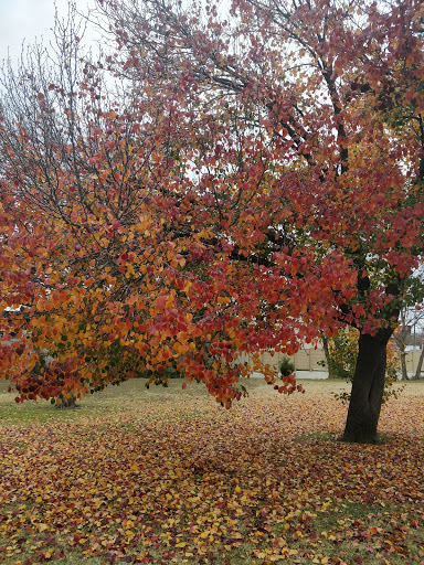 Park «J.A. Carr Park», reviews and photos, 508 Simmons Dr, Euless, TX 76040, USA