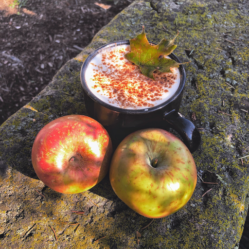 Coffee Shop «River Road Coffee House», reviews and photos, 973 N 21st St, Newark, OH 43055, USA