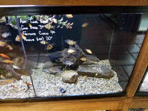 Pet Store «Sand Bar Pet Shop», reviews and photos, 25571 Marguerite Pkwy, Mission Viejo, CA 92692, USA