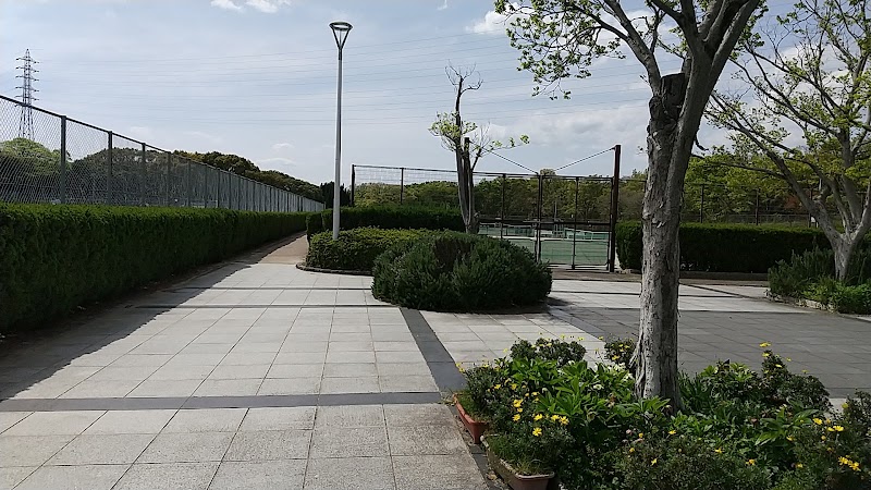 大泉緑地テニスコート