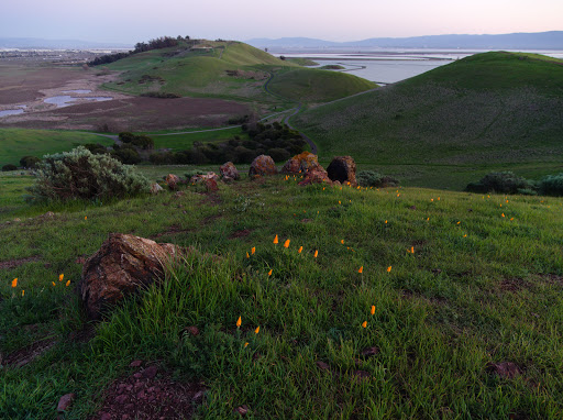 Coyote Hills Regional Park
