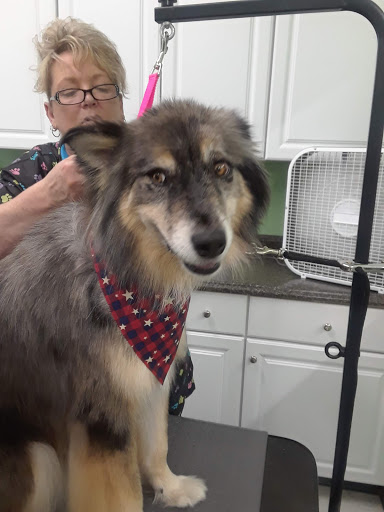 Pet Supply Store «Paws In The Park», reviews and photos, 17833 1st Avenue South, Seattle, WA 98148, USA