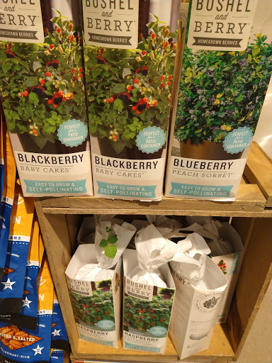 Grocery Store «Food Lion», reviews and photos, 809 N Brown St, Chadbourn, NC 28431, USA