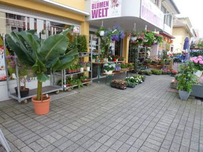 Blumenwelt Weil am Rhein