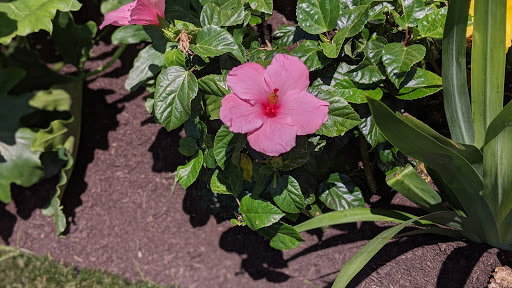 Tennis Club «Westside Tennis & Fitness», reviews and photos, 1200 Wilcrest Dr, Houston, TX 77042, USA