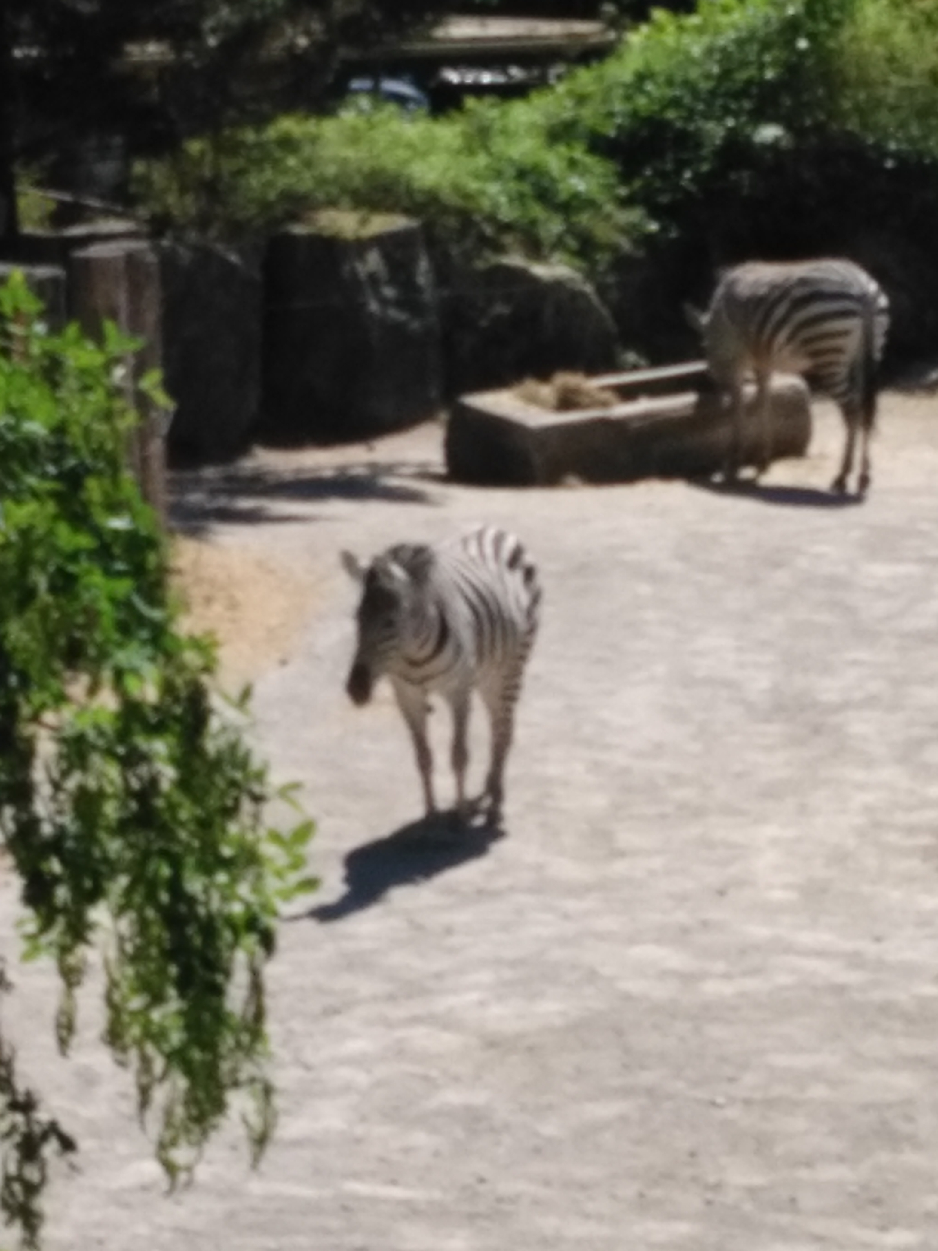 Photo n° 3 de l'avis de Alain.o fait le 26/06/2017 à 12:31