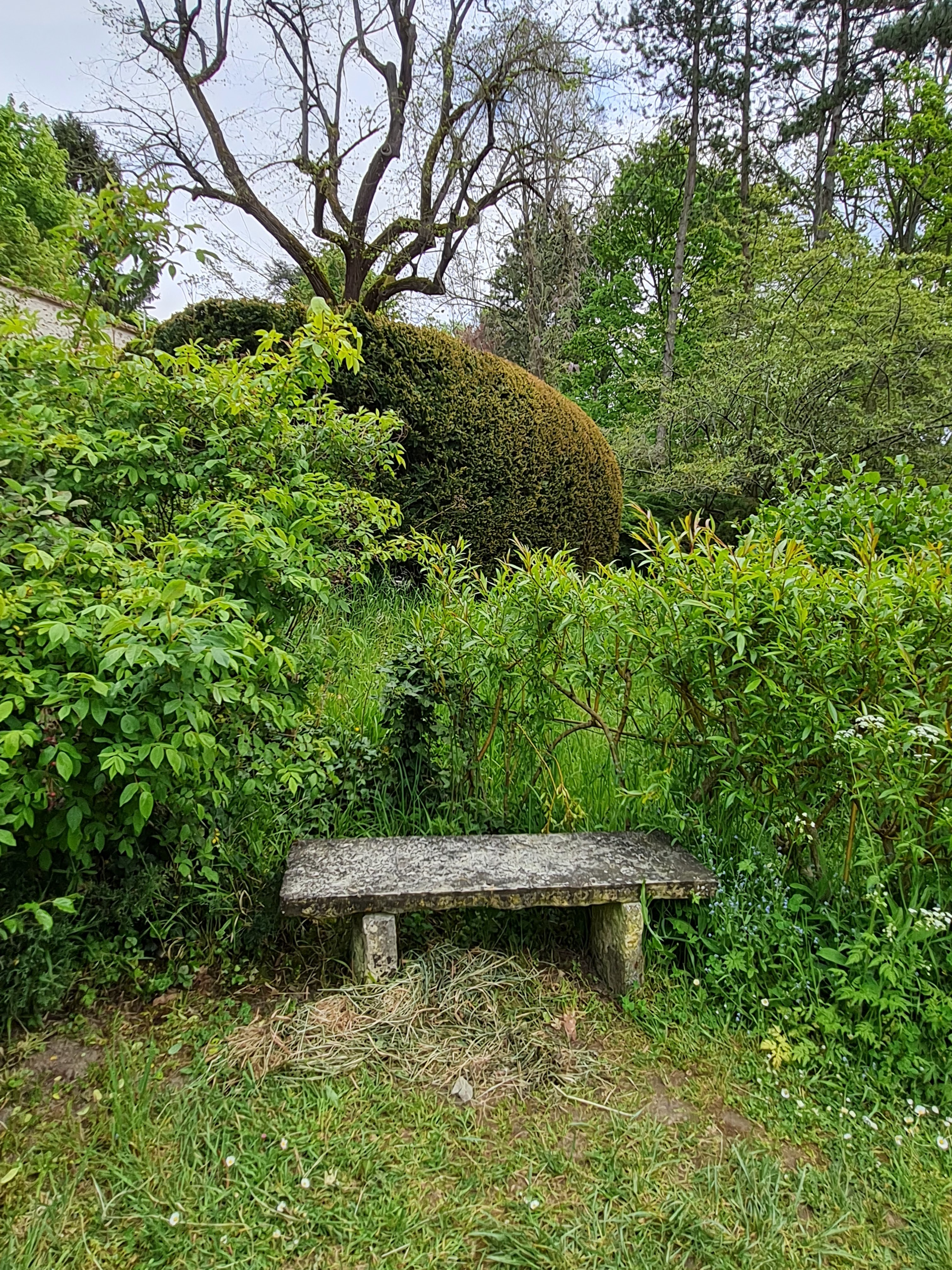 Photo n° 14 de l'avis de Murielle.a fait le 29/04/2021 à 18:58