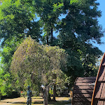 Photo n°2 de l'avis de Gerald.e fait le 08/08/2022 à 19:38 sur le  Café Restaurant Lambada à Roßleben-Wiehe