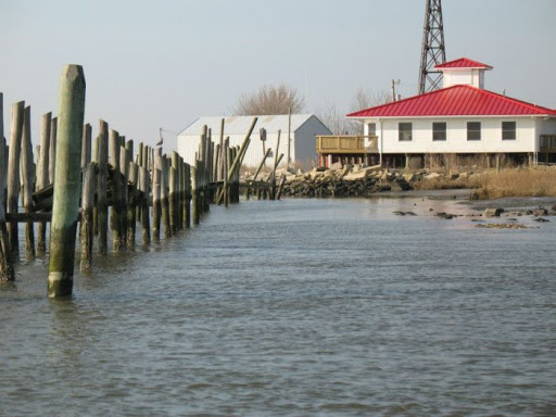 Nature Preserve «DuPont Nature Center», reviews and photos, 2992 Lighthouse Rd, Milford, DE 19963, USA