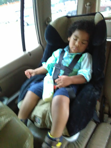 Pet Supply Store «Pet Supplies Plus», reviews and photos, 1704 Greenville Ave, Dallas, TX 75206, USA