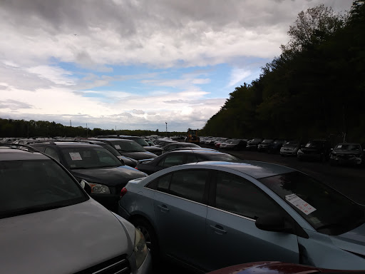 Auto Auction «Insurance Auto Auctions», reviews and photos