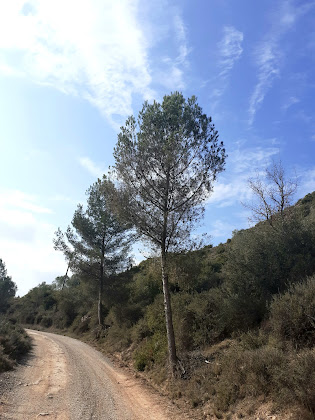 Photos des visiteurs Casa de camp Serarols de Cornet 08650 Sallent