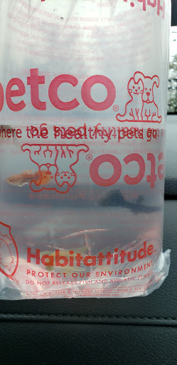 Pet Supply Store «Petco Animal Supplies», reviews and photos, 3371 US-1 #100A, Lawrenceville, NJ 08648, USA