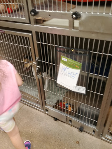 Pet Supply Store «PetSmart», reviews and photos, 1945 Pavilion Way, Lexington, KY 40509, USA