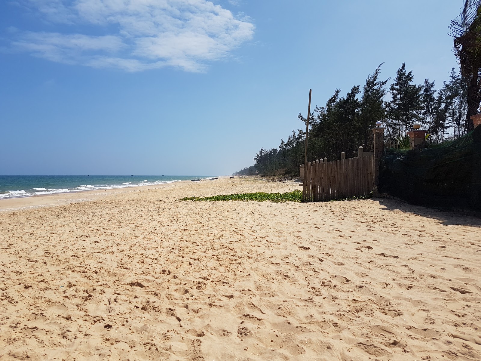 Photo de Tien Thanh pho Phan Beach avec un niveau de propreté de partiellement propre