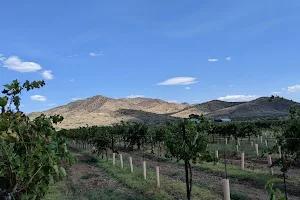 Coronado Vineyards image