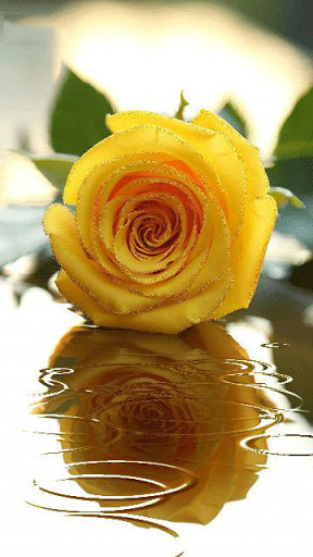 Non-Profit Organization «Lost River Cave», reviews and photos, 2818 Nashville Rd, Bowling Green, KY 42101, USA