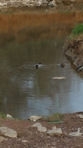 Park «Rickel Park», reviews and photos, 2100 Rickel Park Dr, Hurst, TX 76053, USA