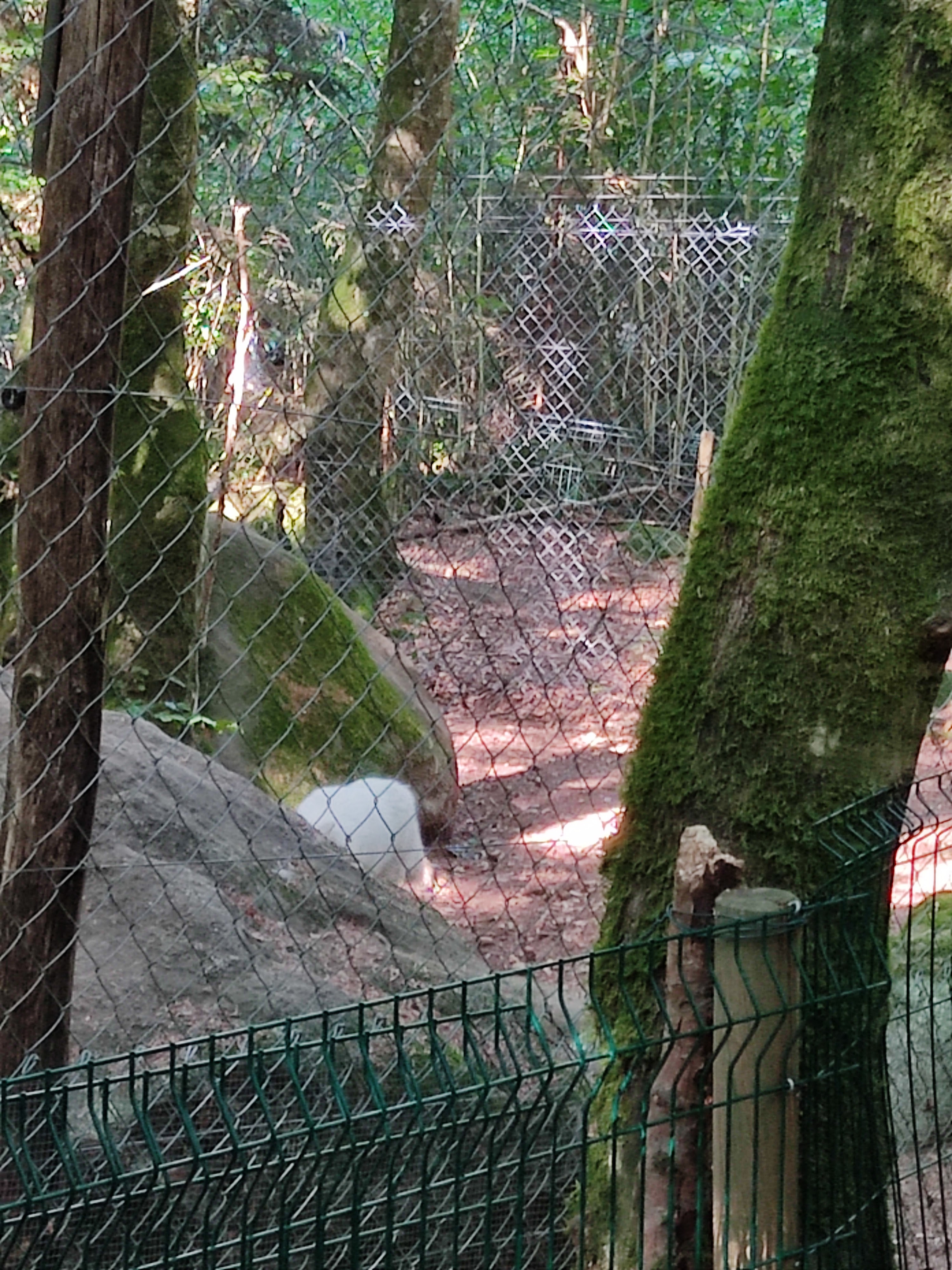 Photo n° 12 de l'avis de Delphine.e fait le 17/08/2022 à 19:26