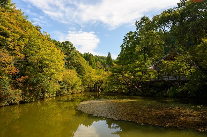 宝生寺