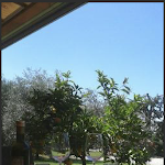 Photo n°3 de l'avis de Lorenzo.o fait le 14/01/2018 à 17:56 sur le  Trattoria El Brol à Costermano sul Garda