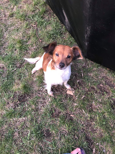 Pet Supply Store «Pet Supplies Plus», reviews and photos, 2202 S Bend Ave Suite 1, South Bend, IN 46635, USA