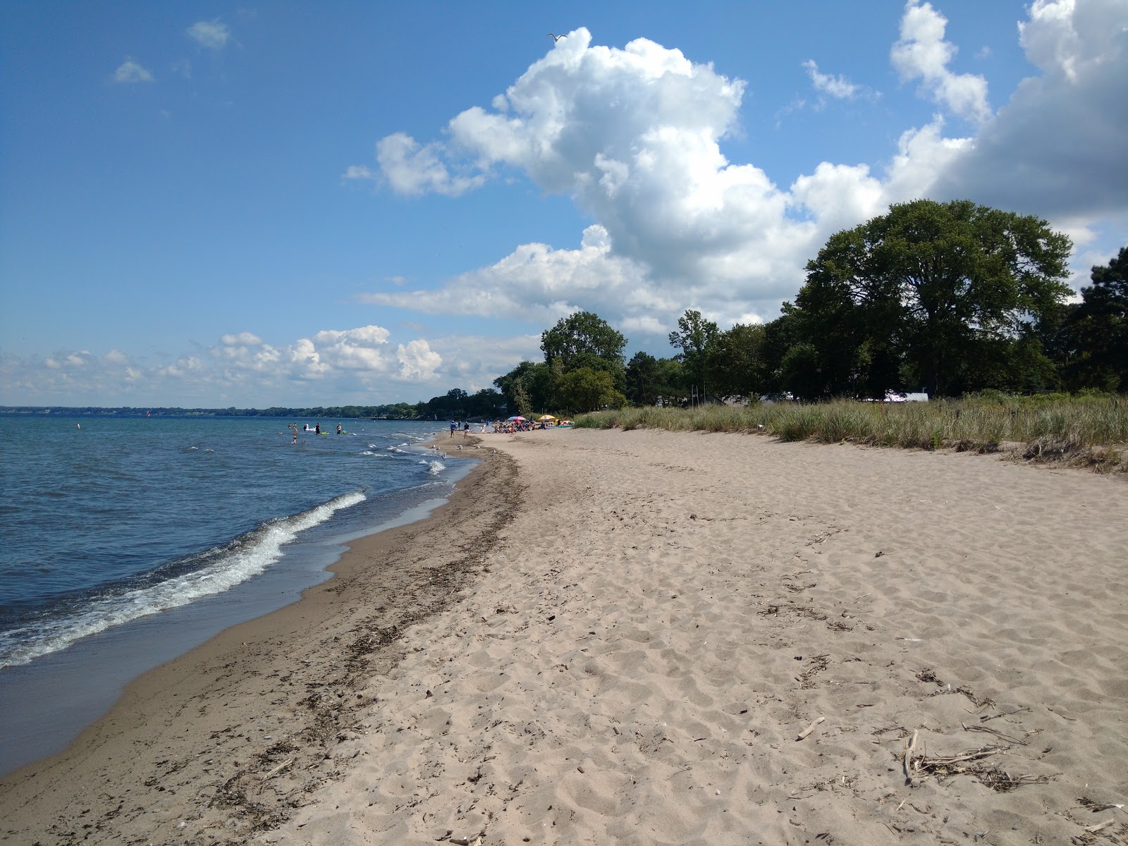 Foto van Nickel Plate Beach met helder zand oppervlakte