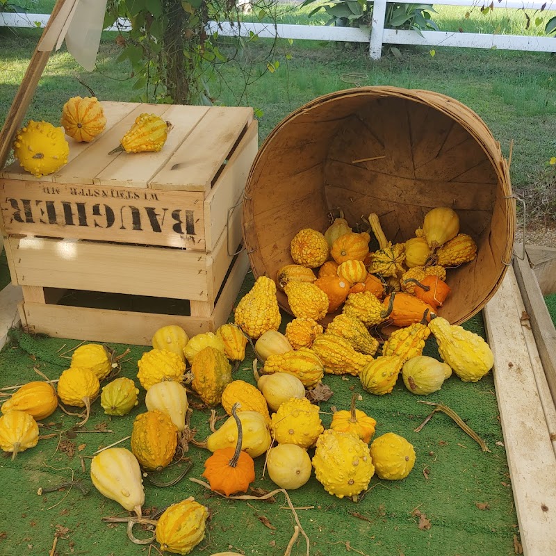 Potomac Farm Market