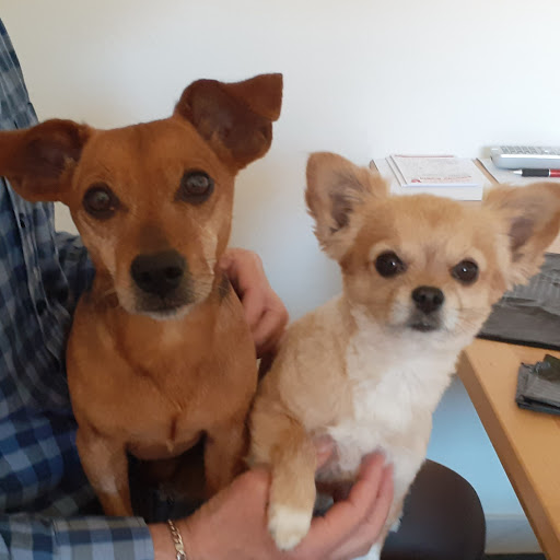 Veterinary Group Practice Decker and Holtz unter Hohenhameln, 