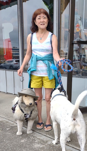 Outdoor Sports Store «Outdoor Store», reviews and photos, 247 N Main St C, Fort Bragg, CA 95437, USA