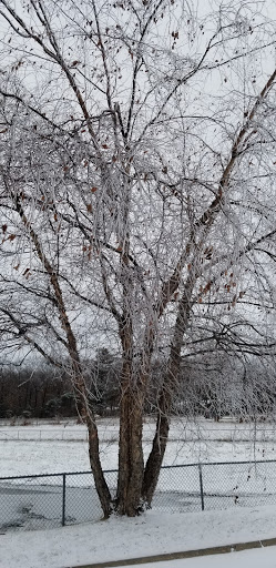 Office Supply Store «Staples», reviews and photos, 1773 E Sherman Blvd, Muskegon, MI 49444, USA